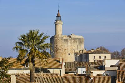 Prsentation historique des Tours et remparts d'Aigues-Mortes  Aigues Mortes