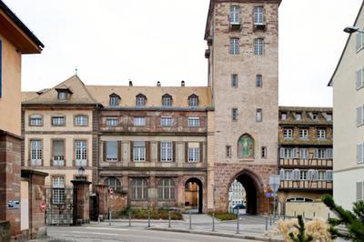Profitez d'une visite à vélo ou rollers d'un campus de médecine à Strasbourg
