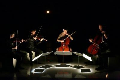 Quintette pour ombre et violoncelles  Lyon