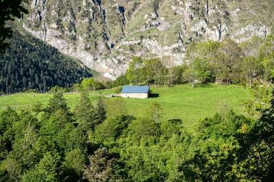 Randonne culturelle autour du pastoralisme  Ancizan