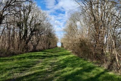 Randonne du patrimoine autour des bois de la Bastire  Annezay