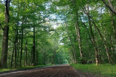 Randonne historique Layons, voies et chemins  Avilly saint Leonard