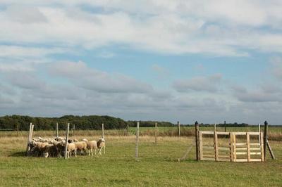 Randonne pdestre autour de Vayres sur Essonne