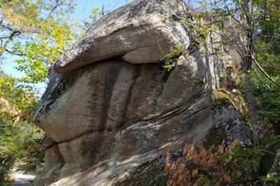 Randonne pdestre : Des garrigues calcaires au chaos granitique de Brousses   Brousses et Villaret