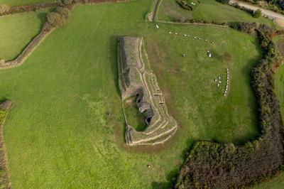 Re-Dcouverte du Cairn de Barnenez  Plouezoc'h