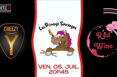 Red Wine, les Poneys Sauvages et Cheezy Y en concert  Pessac