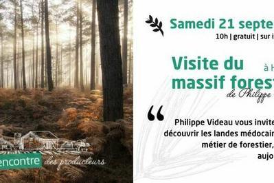 Rencontre avec les producteurs : visite d'un massif forestier  Hourtin