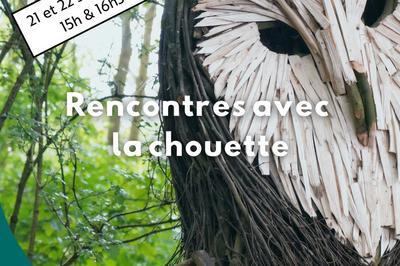 Rencontres avec la Chouette  Berthen