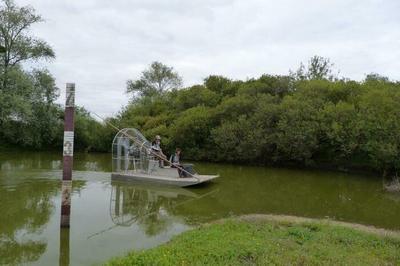 Rendez-vous dans les coulisses de la Rserve naturelle  Bouaye