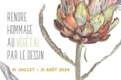 Rendre Hommage au Vegetal par le Dessin, Exposition  Brest