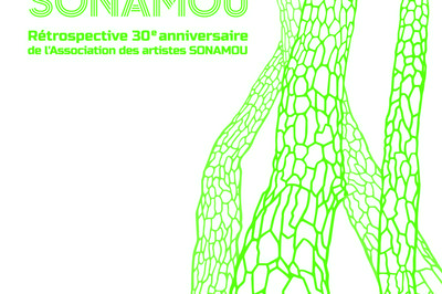 « Rétrospective 30e anniversaire » Exposition des artistes de l'Association SONAMOU à Paris 16ème