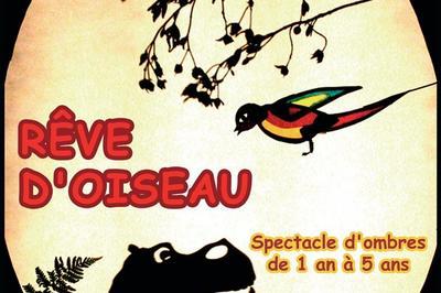 Rve D'Oiseau  Villeneuve Tolosane