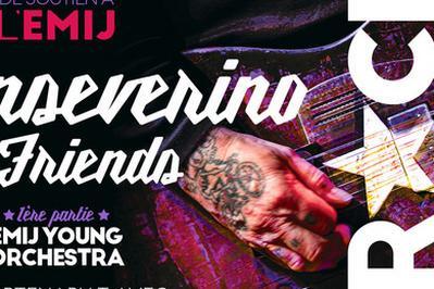 Sanseverino et Friends Concert de Soutien a l'EMIJ  Cleon