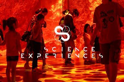 Science Expriences : muse immersif de Science  Lyon