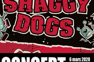 Shaggy Dogs  L'espace Cathare  Quillan