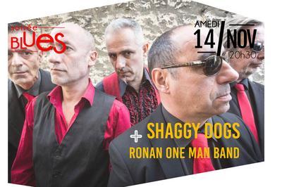 Shaggy Dogs Et Ronan One Man Band  Tremblay en France