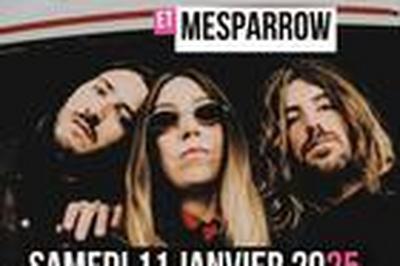 Shake Shake Go et Mesparrow Concert  Redon