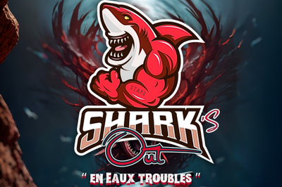 Shark's Out  En Eaux Troubles   Le Gosier