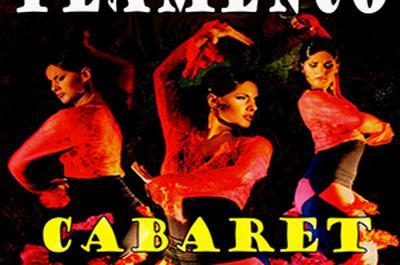 Show flamenco lyon à Lyon