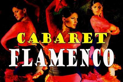 Show flamenco lyon  Lyon