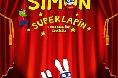 Simon Superlapin Le Spectacle  Lille