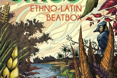 Sirco Ethno Latin Beatbox  Lyon