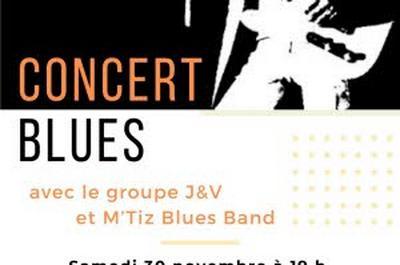 Soire Blues : Concert de J et V et du M'Tiz Blues Band  Albigny sur Saone