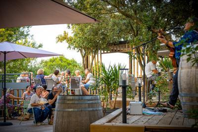 Soire dcouverte de la Maison Delafont en musique  Vezenobres