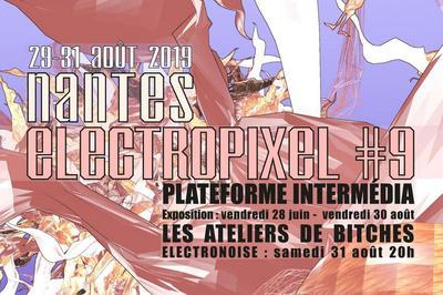 Soire Electronoise Nantes Electropixel #9