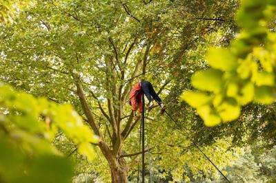 Soirs Bleus, Playground  Gond Pontouvre