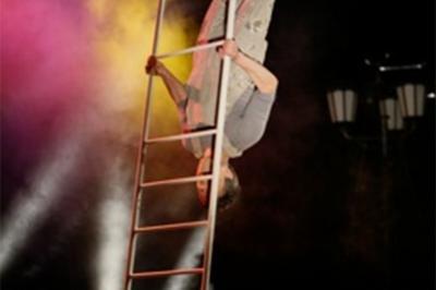 Spectacle De Cirque : Jonglage, chelle Et Autres Fantaisies  Velleches