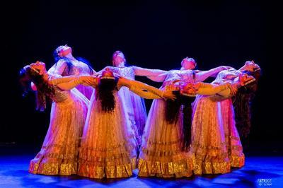 Spectacle de Danses Indiennes  Hadippa et Les Mystres Du March De Jaipur  Dijon