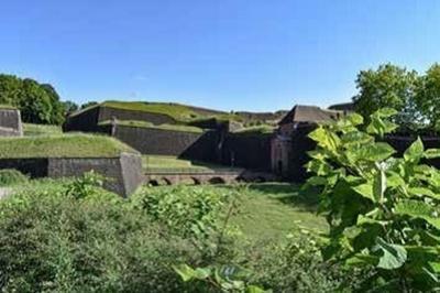 Spectacle itinrant  a papillonne, la citadelle version nature   Belfort