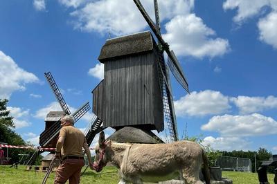 Spectacle L'ne Cadichon au Muse des Moulins  Villeneuve d'Ascq