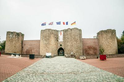 Speed dating historique : Louis XI, un homme fascinant  Peronne