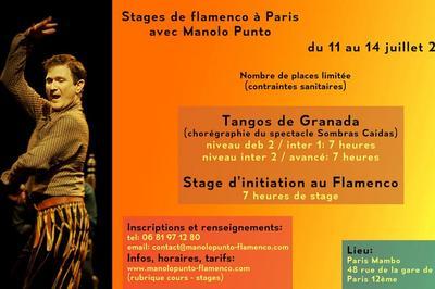 Stages De Flamenco A Paris  Paris 12me