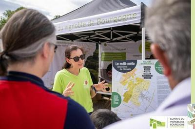 Stand interactif et animations pour dcouvrir les Climats  la cuverie du muse du Vin  Beaune