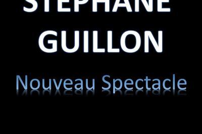 Stphane Guillon Dans C'Est Merveilleux Quand a Se Passe Bien !  Bordeaux