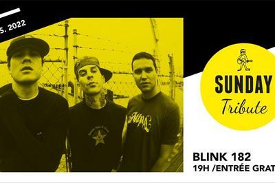 Sunday Tribute - Blink 182 à Paris 12ème