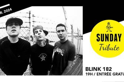 Sunday Tribute : Blink 182  Paris 12me