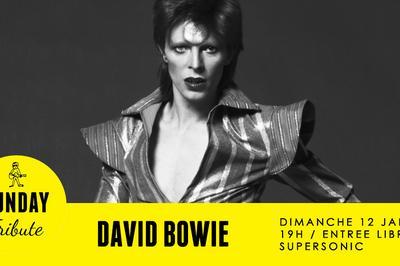 Sunday Tribute - David Bowie  Paris 12me