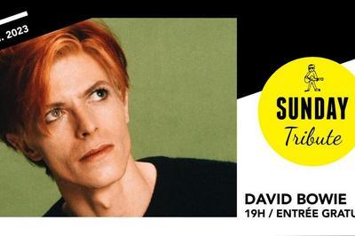 Sunday Tribute : David Bowie  Paris 12me