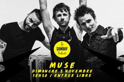 Sunday Tribute - Muse   Paris 12me