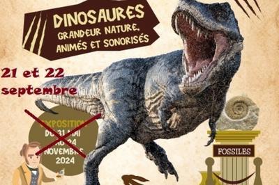 Sur la piste des dinosaures du Gard aux Amriques  Nimes