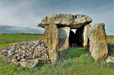 Sur les traces des hommes du Nolithique  Plaine-et-Valles