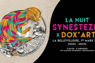 Synestezia X Dox'Art à Paris 20ème