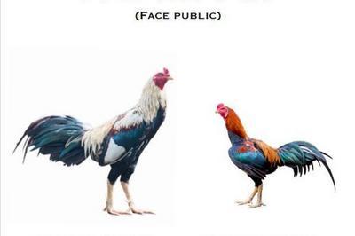 Ta rage n'aura pas de fin (face public)  Nantes