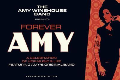 The Amy Winehouse Band  Toulouse
