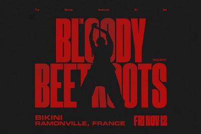 The Bloody Beetroots, UZ, ASDEK et GABA  Le Bikini  Toulouse