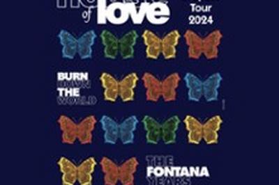 The House of Love, Fontana Years Tour  Clermont Ferrand